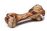 DIBO Mamut-Knochen, ca. 40cm, der kleine Naturkau-Snack oder Leckerli für Zwischendurch, Hundefutter, Qualitätskauartikel ohne Chemie