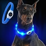 LaRoo LED Hundehalsband USB Wiederaufladbarer Night Safety Hundehalsband Leuchtend Halsband für Klein Mittleren Großen und Langhaarigen Hund -3 Modus (Blau, (65CM*2.5CM))