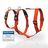 Greyhound Safe it® Sicherheitsgeschirr für kleine/mittlere/große Hunde - 100% ausbruchsicheres Hundegeschirr bis 40°C waschbar - 8 Fach verstellbares Panikgeschirr - Made in Germany (Orange, S)