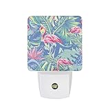 Flamingo Tropical Led-Nachtlicht-Steckdose Mit Bewegungssensor, Steckdosenlicht, Helligkeit Stufenlos Einstellbar, Gerichtetes Licht 11.5x7.5x5cm