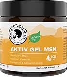 AKTIV NATURHEILMITTEL AktivGel MSM Creme/Salbe 100ml mit 15% MSM & Wärmeeffekt | 99,9% Reinheit, Hochwertig und aus Deutschland