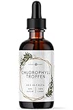 Chlorophyll flüssig aus Alfalfa, 100ml flüssiges Chlorophyll mit 200mg Liquid Chlorophyll je Tagesdosis, Chlorophyll Tropfen sind eine Alternative zu Chlorophyll Tabletten