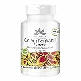 Forskolin Kapseln - hochdosiert - Coleus Forskohlii Extrakt - 60 Kapseln