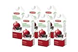 Euro-East BIO Granatapfel 100% Direktsaft 6er Pack Tetrapack, Pomegranate saft kein Zuckerzusatz (6x1 Liter)