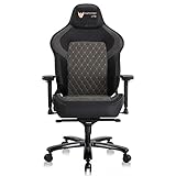 FANTASYLAB Gaming Stuhl 200kg Belastbarkeit Gamer Stuhl Verstellbare Armlehne 4D Gaming Sessel Ergonomischer Bürostuhl Schreibtischstuhl Gaming Chair mit Kopfstütze Schwarz/Grau