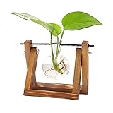 Desktop Plant Terrarium, Hydroponik Glas, Hydroponik Hängevase, Kreative Dekovase Holz Halter für Hydroponik Pflanzen Home Küche Desktop Tisch Indoor Garden Wedding Decor