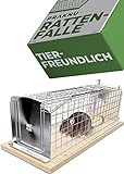 Rattenfalle Lebendfalle 30 cm Groß - Tierfreundlich & Wiederverwendbar - Sofort Einsatzbereit - Für Ratten & Wühlmäuse