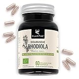 RHODIOLA ROSEA BIO * 60 pflanzliche kapseln * Ermüdung + Konzentration + Leistung * Hohen Konzentration an aktive Inhaltsstoffe *