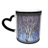 Silver Birch Tree Farbwechsel Tasse In The Sky Keramik wärmeempfindliche Tasse Latte Tassen wärmeempfindliches Design für Geschenke Büro personalisierte Idee 12 Oz