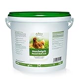 AniForte Muschelgrit für Hühner 5kg – Natürliches Muschelschalenschrot, Reich an Calcium, Grit für Knochen- & Eibildung (ehem. Mineral Vital)