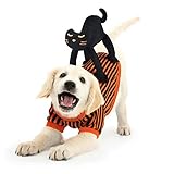 Hundekostüm Weihnachten,Idepet Hunde Kostüm Weihnachten mit Schwarz Katze Design Hunde Kostüm für Weihnachten Party Orange Schwarz