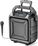 PA Anlage 600W Tragbare Karoake Anlage mit Bluetooth 5.0, DJ Lautsprecher PA System mit Mikrofon unterstützt USB, AUX-IN, E-Gitarre Ideal für Party,Konferenz,Aufführung