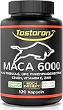 Tostoron MACA 6000 hochdosiert - hol dir den TOSTORON HAMMER direkt nach Hause! 120 Kapseln | Plus Tribulus, Pinienrindenextrakt, Vitamin C, Selen, Zink - laborgeprüft - 1 Dose (1 x 100 g)