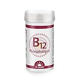 Vitamin B12 Phospholipid Pulver I Methylcobalamin und Hydroxycobalamin mit Cassis- und Mangopulver I Für Energiestoffwechsel, Nerven und Psyche* I optimal bioverfügbar I 80 g I vegan