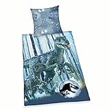 Herding Disney's Jurassic World Bettwäsche-Set, Kopfkissenbezug 80 x 80 cm, Bettbezug 135 x 200 cm, Mit Knopfverschluss, 100% Baumwolle/Flanell, Mehrfarbig