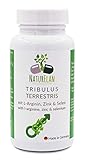 Tribulus Terrestris - 90 Kapseln - mit je 200mg Tribulus Terrestris und 200mg L-Arginin, Zink, Selen und Pantothensäure (Vitamin B5) - aus Deutschland - weniger Müdigkeit - Energiestoffwechsel