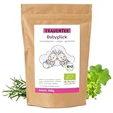 Babyglück Tee BIO - spezielle Mischung aus Himbeerblättern und Frauenmantel - ohne Zusatz von Zucker (100g)