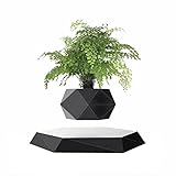 Kiko-ershaa Levitating Plant Pot Floating Air Bonsai Pot Suspension Blumentopf Pflanzgefäß für Schreibtischdekoration