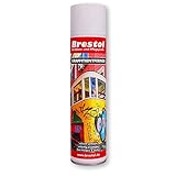 GRAFFITI ENTFERNER 400 ml Spray (2445) - Graffitilöser Farbabbeizer Farblöser Farbentferner Lackentferner Lacklöser Lasurlöser Lasurentferner Dispersionsmittel Abbeizmittel Abbeizer - BRESTOL