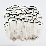 CTLH20 Natürliche Pfau-Huhn-Enten-Fasan-Feder Kleine Traumfänger-Federn DIY Karneval Handwerk Zubehör Dekor Dekoration-Größe 3–7 cm, 50 Stück