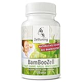 BAMBOOZELL Organisches Silizium Hochdosiert Silicium hochdosiert aus Bambus-Extrakt mit Biotin, Zink, Mangan. Das GUTE für Haut, Haare, Nägel und Bindegewebe. Zelltuning Nahrungsergänzungsmittel