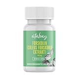 Vitabay Forskolin 400mg | 90 Kapseln aus natürlichem Coleus Forskohlii Extrakt | Hochdosiert | 100% natürlich & vegan | Laborgeprüft & hergestellt aus hochwertigen Rohstoffen