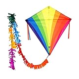 Wolkenstuermer Eddy Rainbow Delta Single Line Traditional Flying Kite