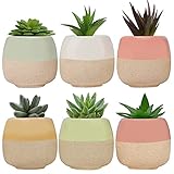 BELLE VOUS Mini Blumentopf Keramik (6 STK) – L6 x H5,5 cm Kleine Blumentöpfe Kakteen Topf mit Ablauf Loch für Zuhause, Büro, Innen, Außen, Garten - Deko Sukkulenten Topf & Kaktus Topf Übertopf Klein