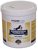 extra für ältere Hunde/Teufelskralle+Grünlippmuschel-Mix/Gelenk Pulver, 500g / deutsches Produkt/empfohlen von Dr. med. Vet. Knoop/sehr hohe Akzeptanz + lecker/Alternative zu synthetischen Mitteln