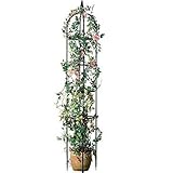 ABC Home Garden Pflanzenbogen | Rosenbogen | Rankhilfe, Metall, schwarz, 240 cm H