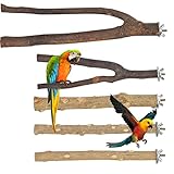 5PCS Natur Sitzstangen Set für Vögel, Kanarienvogel Käfig Zubehör,Vogel Zweige Barsch,Vogelschleifklauen Klettern Stehend Vogelkäfig Zubehör für für Kanarienvögel, Finken, Lovebirds und Petie Parrot