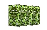 Pukka BIO Tee Matcha Green 20 Beutel