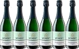 Weinbiet Manufaktur Weißburgunder Mussbacher Eselshaut Winzersekt 2020 Brut (herb) (6 x 0.75 l)