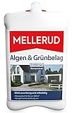 Mellerud Algen & Grünbelag Entferner 2,5 Liter Konzentrat für bis zu 500 m² 1 / 2 / 3 / 4 / 5 Stück (1 Stück)