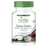 Camu Camu Kapseln - natürliches Vitamin C - 1000mg Camu Camu Extrakt pro Tagesdosis - HOCHDOSIERT - VEGAN - 90 Kapseln