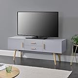 [en.casa] Fernsehtisch 140 x 40 x 56 cm TV Board mit 2 Schranktüren und 2 Schubladen Lowboard Kommode Lichtgrau