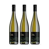 junge triebe | the easy riesling | Riesling Weißwein trocken, Rheinhessen, Gutswein, vegan | 3x 0,75l