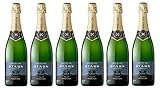 6x 0,75l - Perelada - Stars - Reserva - Brut Nature - Cava D.O. - Spanien - Schaumwein trocken