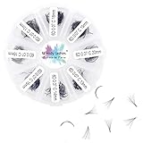 Fertige Wimpernfächer Wimpern Extension 6D 500 Stück 0,07mm D Curl 13-20mm Fertige Volumen Wimpern Fächer Premade Volume Fans für Wimpernverlängerung (500-6D-0,07-D-13-20)