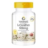 L-Ornithin Kapseln - 500mg L-Ornithin pro Kapsel - hochdosiert & vegan - 100 Kapseln - Aminosäure