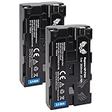 2X SK Akku Ersatz für Sony NP-F550 | 3500mAh - LG Zellen | NP-F530 NP-F570 NP-F750 NP-F770 NP-F960 NP-F980 // Blitzgeräte Videoleuchten Fieldmonitore