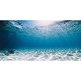 AWERT 120 x 61 cm robuster Vinyl-Hintergrund für Aquarien, Unterwasser, Meeresboden, tropischer Aquarium-Hintergrund (kein Aufkleber)