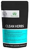 CLEAN HERBS - Einzigartige Mischung aus Löwenzahn, Mariendistel, Brennnessel, Klettenwurzel, Goldrute, Birke, Taigawurzel, Grüner Tee, Mate Tee, uvm - 100% natürlich