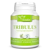 Serafin Tribulus Naturkapseln – Tribulus terrestris – 90 Kapseln – Erd-Burzeldorn + Zink + Vitamin E – Fruchtbarkeit, Unterstützung der Genitalien und Harnwege, Energie, Immunität, Muskeln