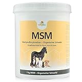 Mahu Natur 1 kg MSM Pferd Und MSM Hund Hochdosiert - Methylsulfonylmethan (Organischer Schwefel) - Hochdosiert Und Hoher Reinheitsgrad - MSM Pulver 1000g