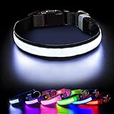 PcEoTllar LED Leuchthalsband Hunde Halsband Leuchtend Hundehalsband USB Wiederaufladbar Wasserdicht 7 Farbwechsel Halsband Hund Klein Groß Mittel Super Helle Sicherheit für Die Nacht - Schwarz - M