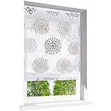 BAILEY JO Raffrollo mit Kreis-Motiven Druck Design Rollos Voile Transparent Vorhang (BxH 60x140cm, Braun mit U-Haken)