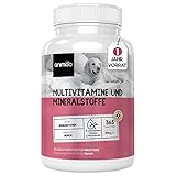 Animigo Multivitamin 365 Hundetabletten - Vitamin B Komplex mit den Vitaminen A C E & D3-18 Hundemineralien & Vitamine für Immunsystem, Knochen, Gelenke - Kalzium, Eisen, Kupfer, Natrium, Jod, Zink