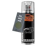 RAL 6003 Olivgrün matt 2K Acryl Spraydose Sprühdose Sprühlack Spritzlack 400 ml schnelltrocknend