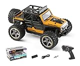 Ferngesteuertes Auto ab 6 7 8 Jahren Jeep RC Auto Car mit LED Geländewagen Monster Truck 1/22 Wrangler Fahrzeug Outdoor Indoor Kinder Erwachsener Wltoys 22201